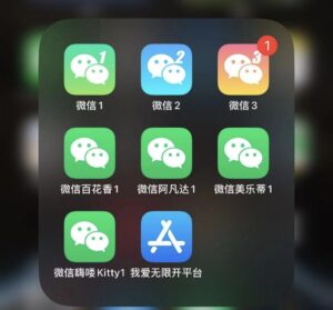 苹果UDID定制微信QQ小红书支付宝分身双开激活授权码-图片1