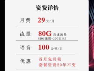 湖南电信流量卡推荐，仅需29元/月80G流量+100分钟通话时长，20年长期套餐。-图片2